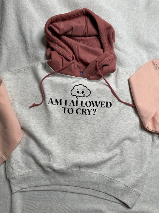 Am I allowed to cry? Color Block Cropped Hoodie