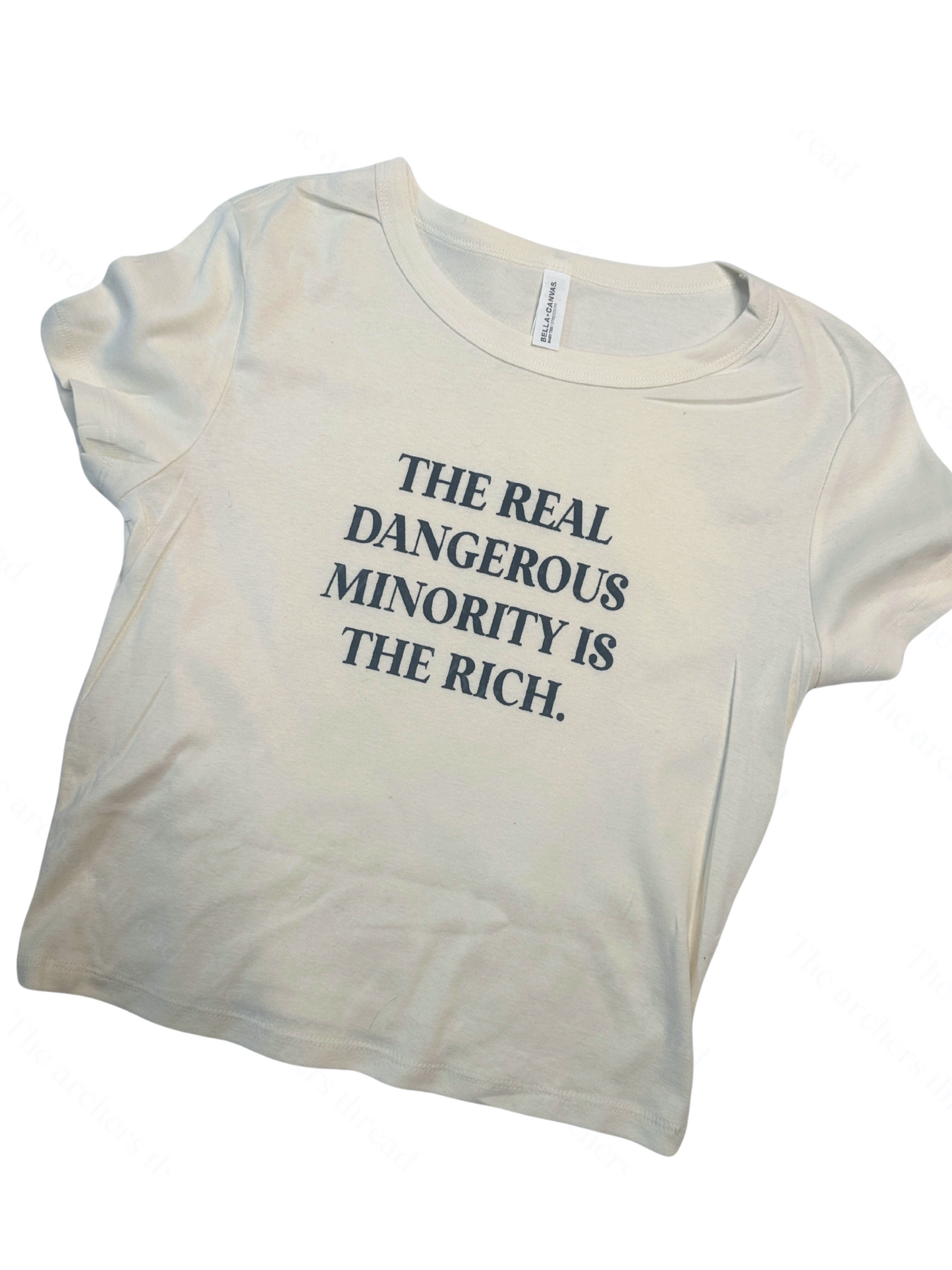 Dangerous Minority is the Rich