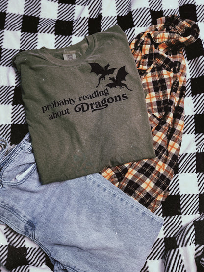 Probably Reading About Dragons