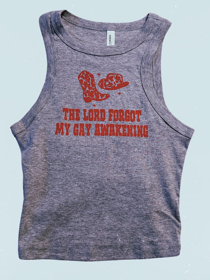 The lord forgot my gay awakening | slim pickins